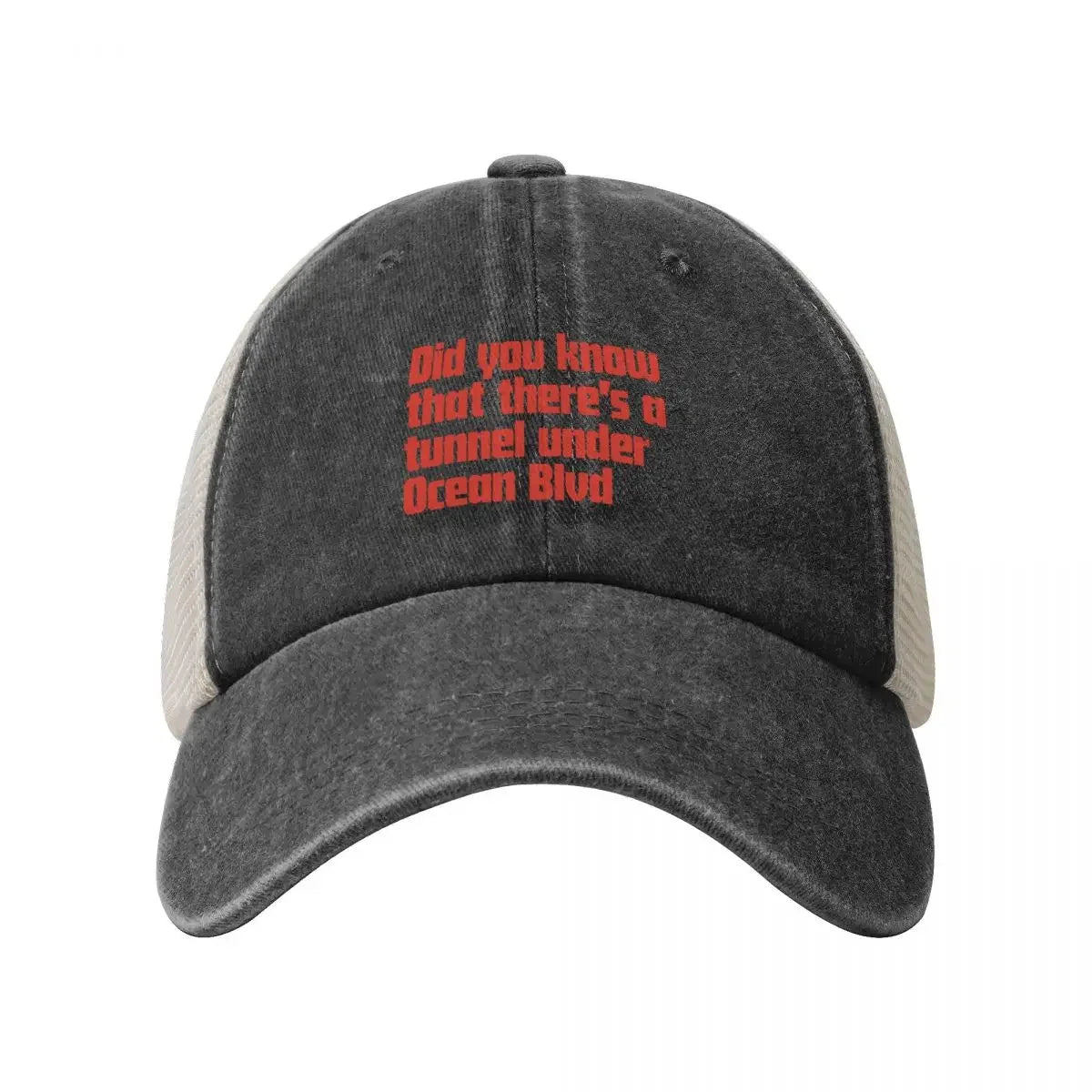 Did you know that there’s a tunnel under Ocean Blvd - Lana Del Rey Baseball Cap hard hat Cosplay Luxury Cap Man Women's