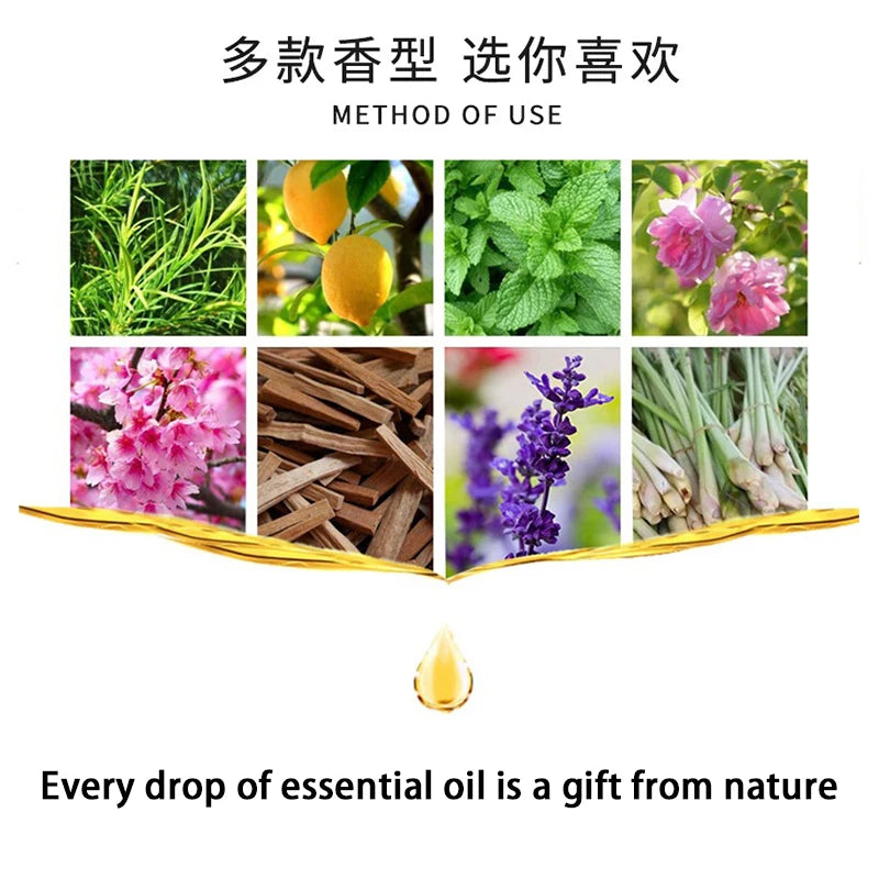 10ML Lavender Eucalyptus Pure Essential Oils Fragrans Rose Lemon Jasmine Vanilla Mint Sandalwood Sakura Diffuser Aroma Oil